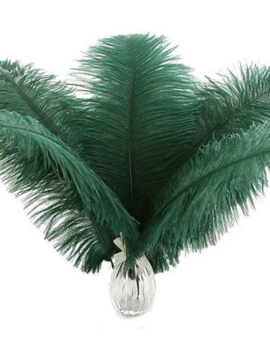 Ballinger Blackish Green Ostrich Feathers Bulk- 24pcs 10-12inch for Wedding - Picture 1 of 7